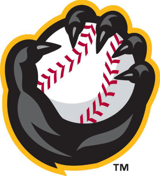 Quad Cities River Bandits 2014-Pres Alternate Logo vinyl decal